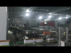 เครื่องปิดกระปุกกล่อง เครื่องปาเลตติ้งหุ่นยนต์