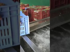 เครื่องซักผัก/ผลไม้ชนิดกระบอก ความจุการผลิตสามารถปรับแต่งได้